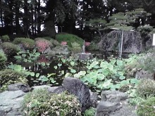 10-07-05_001