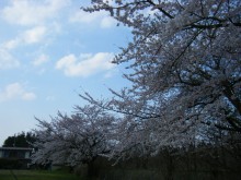 DSCF6452